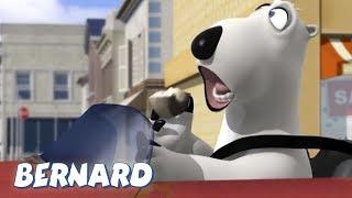 Bernard Bear  Street Racing AND MORE  15 min Compilation  Cartoons for Children