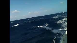 Sailing the Mona passage on 48 ft Maple Leaf Puerto Rico to Dominican Republic.