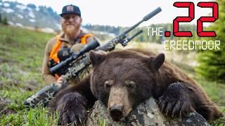 Bear Hunting with a 22 CREEDMOOR GIVEAWAY  4K Film