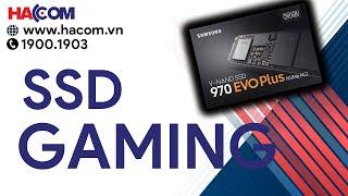 SSD Gaming Samsung 970 EVO CHÍNH HÃNG RẺ NHẤT