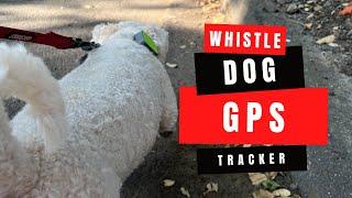 Whistle GO Explore Dog GPS Tracker & Fitness Tracker Review and Demo