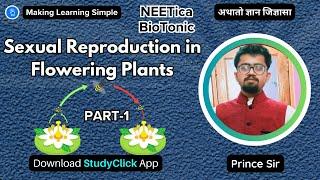 Sexual Reproduction in Flowering Plants  Part-1  #neet