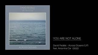 David Fedele - You are Not Alone from ACROSS OCEANS - feat. Antonina Car