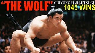 The MIKE TYSON of SUMO WRESTLING The Wolf Tribute