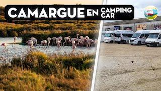 Camargue - Manade- Mejane - Paul Ricard