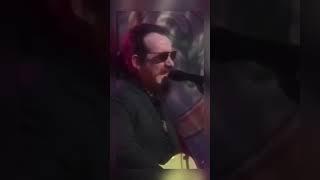 Elvis performing “Deep Dark Truthful Mirror” #elvis #elviscostello #mirror #livemusic #shorts