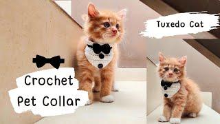 Crochet Cat collar  Cara merajut Kalung kucingkerah kucing