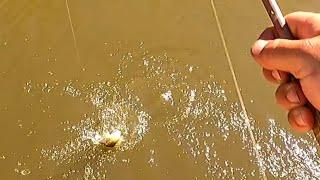 Exciting fishing for native fish in the Goulburn River in the heart of Shepparton.