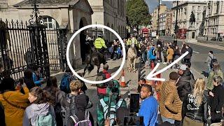 Met Police Horse & Kings Guard Horse Spooked as the Police Shouted at Maintenance Man in London