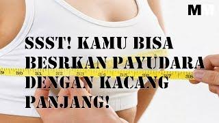 SSST KAMU BISA BESRKAN PAYUDARA DENGAN KACANG PANJANG