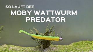 Der Wattwurm Predator von Moby Softbaits - Gummifisch zum Angeln auf Zander und Barsch