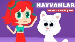 Uzun Versiyon  Can Dostumuz  Çiçek Kızlar  Çocuk Şarkısı  YouTube Kids Hayvanlar Ayı