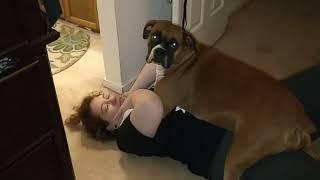 Woman viciously mauled by boxer dog