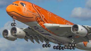 60 MINUTES PURE AVIATION - AIRBUS A380 ILYUSHIN 62 BOEING 747 - Aviation Review of Year 2020 4K