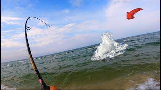 2 Hours of Catching Giant Fish on the Beach