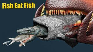 Fish eat Fish  Comparison  3D animation