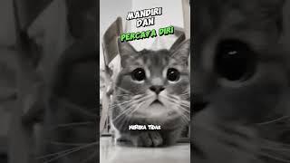 Mandiri & Percaya Diri  Kucing Quote