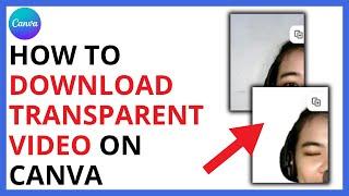 How to Download a Transparent Video on Canva QUICK GUIDE