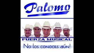 Palomo - Sera Que No Me Amas 2001