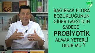 PROBİYOTİKLER VE PREBİYOTİKLER Dr. Hüseyin Nazlikul M.D. PhD.