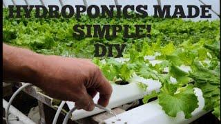 Easy how to HYDROPHONIC GREENHOUSE INFRASTRUCTURE.