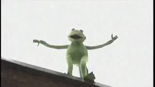 Kermit Falling Off A Building