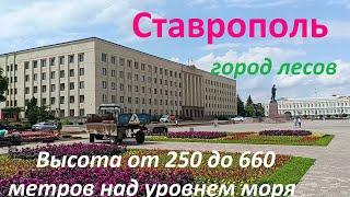 Неужели ветерок подул. Прогулка по центру Ставрополя города цветов и лесов