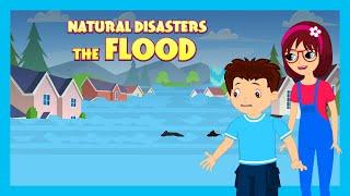 NATURAL DISASTERS  THE FLOOD  Stories For Kids In English  TIA & TOFU Lessons For Kids