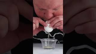 Bendable Eggshell Experiment  How To Make A Flexible Eggshell  Egg And Vinegar Experiments