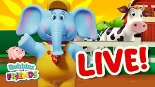   247 Live Stream of Nursery Rhymes by Bubbles and Friends Music for kids  #live