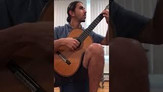 Neil Young- Harvest Moon- Fingerstyle Arrangement