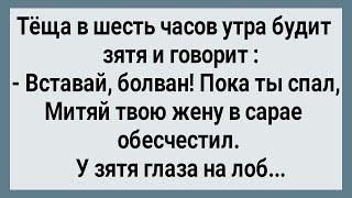 Как Жена в Сарае Под Соседа Легла Сборник Свежих Анекдотов Юмор