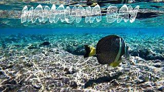 Unbelievable Snorkeling at Hanauma Bay Oahu Hawaii