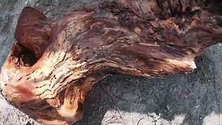 Sandblasting Old Wooden Stump To Beautiful Driftwood In 2 min