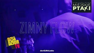 DGE - Zimny Flow prod. Look.out skrecze DJ Soina MIEJSKIE PTAKI