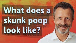 What does a skunk poop look like?