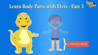 Discover the Parts of the Human Body  - Part 3  Learn All About Legs with Roving Genius 