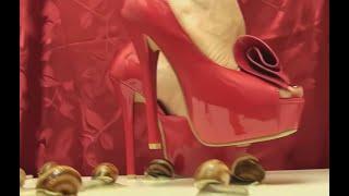 N94 Bug Crush Teaser - Red shoes stilettos and snails