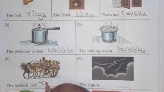Grade 2 General Knowledge Chapter 15 Sounds
