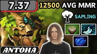 7.37 - Antoha TREANT PROTECTOR Hard Support Gameplay - Dota 2 Full Match Gameplay