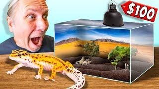 Cheap $100 Leopard Gecko Setup Tutorial 