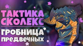 Тактика Сколекс ненасытный разоритель ГЕР  Гробница Предвечных  World of Warcraft Shadowlands 9.2