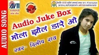 NEW CG SONG MOLA JHOL DARE O DILIP RAY HIT CHHATTISGARHI GEET HD VIDEO 2016 AVM STUDIO RAIPUR