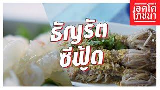 กั้งสด จากทะเล ร้านเด็ดโดยชาวประมงพื้นบ้าน จ.ตราด  ธัญรัตซีฟู้ด  เอคโค่โภชนา