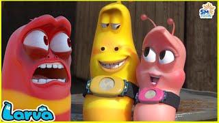 Larva Full Episode  2 Hour Compilation  New Animation Movies 2024  Cartoons - Comedy - Comics