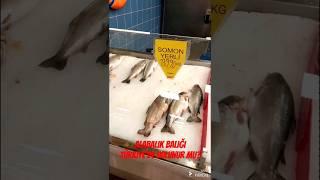 Is trout fish available in Turkey?  All Fish prices in turkey  #shorts