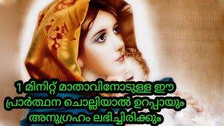 1 മിനിറ്റ് മാതാവിനോടുള്ള ശക്തമായ പ്രാർത്ഥനmiracle prayer to mother of mary marian prayer Malayalam