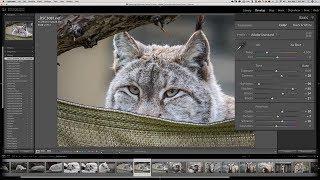 Mastering Lightroom Classic CC 1 - Quick Start