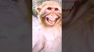 #new #funny #viralvideo  #funny #comedy #trending 