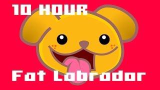 Fat Labrador  10 Hours